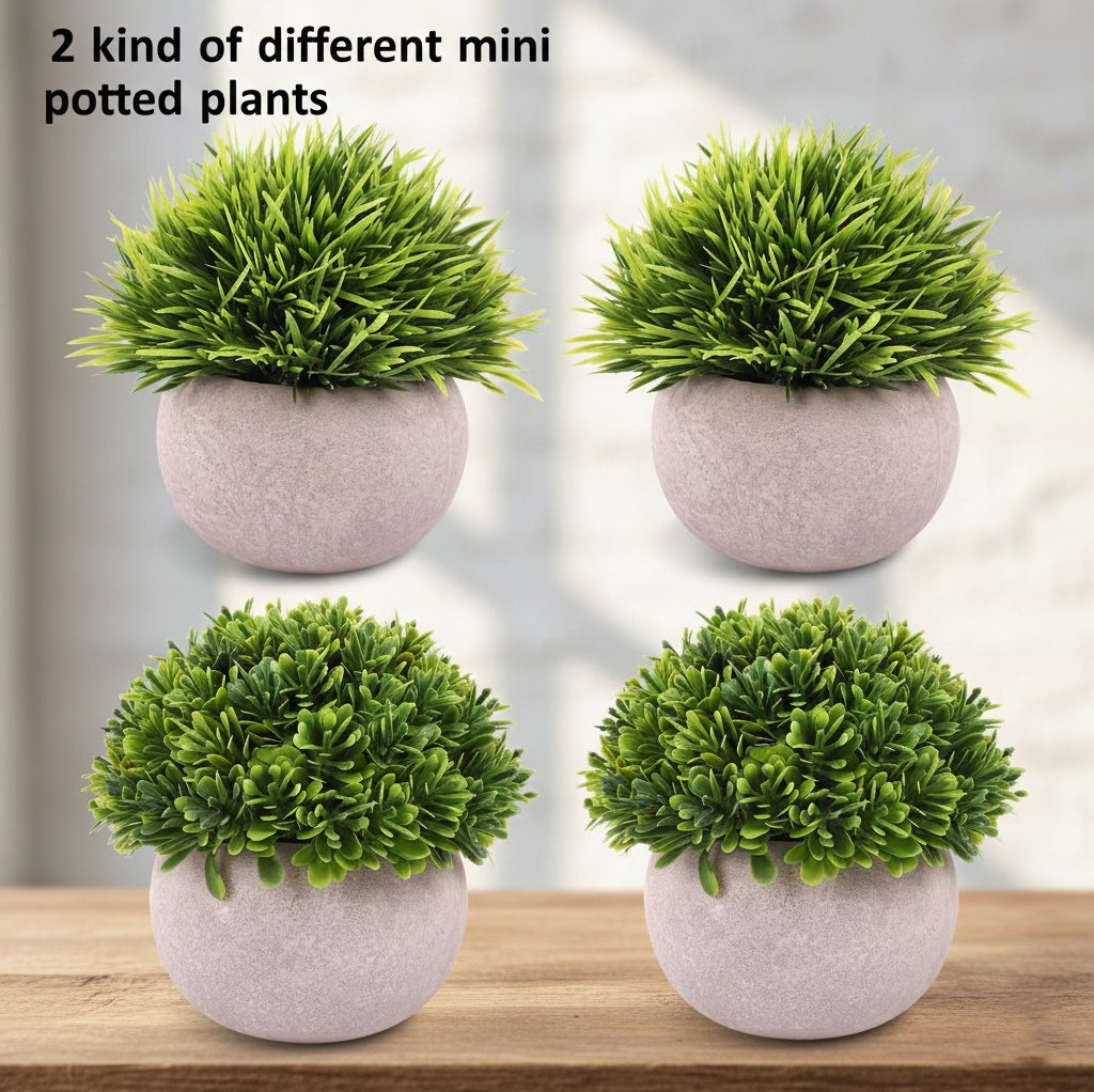 Mini Succulent Plants